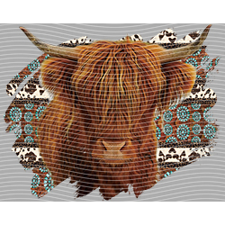 Cow-NIU 2547